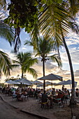 People sit under coconut trees at the Coco Loco Bar on Flamingo Beach enjoying drinks and food during sunset happy hour, Playa Flamingo, Guanacaste, Costa Rica, Central America