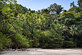 Frau entspannt sich unter Kokospalmen am Strand Espadilla South Beach im Nationalpark Manuel Antonio, in der Nähe von Quepos, Puntarenas, Costa Rica, Mittelamerika