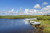 Boat in the reeds, Nymindegab, Southern Denmark, Denmark