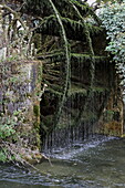 Historisches Wasserrad an der Sorgue, L'Isle-sur-la-Sorgue, Vaucluse, Provence-Alpes-Côte d'Azur, Frankreich