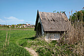 Small reed hut near Tihany at Lake Balaton, Veszprém county, Hungary