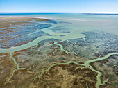 Salt marshes in the Baie de Vey Normandy