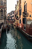Venice, Veneto, Italia