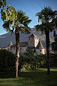 View through palm trees to Maretsch Castle, Bolzano, Trentino, South Tyrol, Italy, Alps, Europe