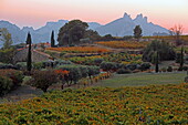 Weinfelder vor den Dentelles de Montmirail im Herbst, bei Suzette, Vaucluse, Provence-Alpes-Côte d'Azur, Frankreich