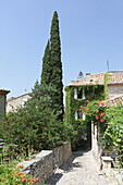 Gasse in Seguret, Vaucluse, Provence-Alpes-Côte d'Azur, Frankreich