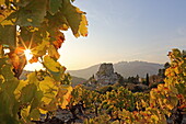 Weinstöcke im Herbstlaub, Dorf La Roque-Alric und die Dentelles de Montmirail, Vaucluse, Provence-Alpes-Côte d'Azur, Frankreich
