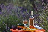 Leisure time with lavender bushes, Crillon-le-Brave, Vaucluse, Provence-Alpes-Côte d&#39;Azur, France