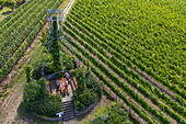 Aerial view of people enjoying a wine tasting under the world&#39;s largest Bockstüten wine bottle replica in the vineyard of the Scheller Bockstüten Winery, Kolitzheim Stammheim, Franconia, Bavaria, Germany, Europe