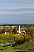 Schloss Hallburg in den Weinbergen der Vokacher Mainschleife, Landkreis Kitzingen, Unterfranken, Franken, Bayern, Deutschland