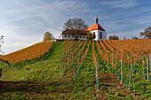 Vogelsburg und Weinberge an der Volkacher Mainschleife, Unterfanken, Bayern, Deutschland