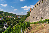 Marienberg Fortress above the city of Würzburg, Lower Franconia, Franconia, Bavaria, Germany