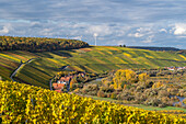 View from the vineyards near Neuses am Berg to the Volkacher Mainschleife and the wine villages of Escherndorf and Nordheim am Main on the Weininsel and the Mainaue, Dettelbach town, Kitzingen district, Unterfanken, Bavaria, Germany