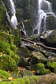 Der Wasserfall Teufelsmühle des Schwarzbach am Holzberghof, Biosphärenreservat Rhön, Landkreis Rhön-Grabfeld, Unterfranken, Franken, Bayern, Deutschland