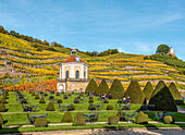 Belvedere pavilion of the Schloss Wackerbarth winery in autumn, Radebeul, Saxony, Germany