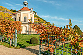 Belvedere Pavillion von Weingut Schloss Wackerbarth im Herbst, Radebeul, Sachsen, Deutschland