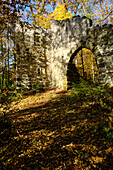 The ruins of Altenburg in the landscape park of Bettenburg near Hofheim i. Ufr, Haßberge Nature Park, Haßberge Nature Park, Lower Franconia, Bavaria, Germany