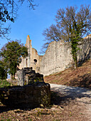 Homburg Castle Ruins and Ruine Homburg Nature Reserve,Lower Franconia,Franconia,Bavaria,Germany