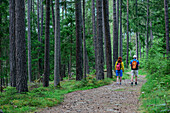 Mann und Frau wandern auf Wanderweg durch Hochwald, Starkenberger Weg, Schönwies, Ötztaler Alpen, Tirol, Österreich