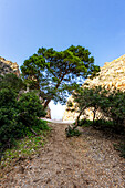 Wanderung in der Schlucht Torrent de Pareis zur Bucht Platja de Torrent de Pareis, Sa Calobra, Serra de Tramuntana, Nordküste, Mallorca, Spanien