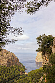 Aussicht auf die Bucht von Sa Calobra, Serra de Tramuntana, Nordküste, Mallorca, Spanien