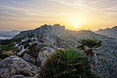 Sonnenuntergang am Mirador de Es Colomer, Halbinsel Formentor, Nordküste, Mallorca, Spanien