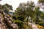 Ascent to the Santuari de la Mare de Déu del Puig, Mallorca, Spain