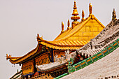 Vergoldetes Dach mit Figuren und Ornamenten an einem atemberaubenden Gebäude im Kloster Kumbum, Xining, China
