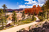 Scenic hiking trail on the Queens Garden Trail with prominent rocks and conifers, Bryce Canyon, Utah, USA