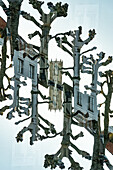 Doppelbelichtung, zugeschnittene Bäume und alte Gebäude in Brügge, Belgien.