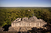 Man stands on a ruined Mayan pyramid and looks at the dense jungle with further ruins of Calakmul, Yucatán, Mexico, North America, Latin America, UNESCO World Heritage