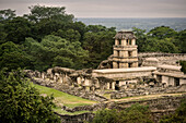 View of Palace (El Palacio), Archaeological Zone of Palenque, Mayan Metropolis, Chiapas, Mexico, North America, Latin America, UNESCO World Heritage