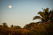 Full moon during twilight at the surf spot at Playa Zicatela, Puerto Escondido, Oaxaca, Mexico, North America, Latin America, Pacific Ocean