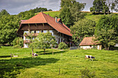 Großer alter Schwarzwaldhof im Dietental bei Mühlenbach, Schwarzwald, Baden-Württemberg, Deutschland