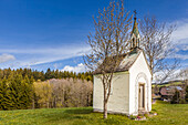 Kleine Kapelle im Hochschwarzwald bei Breitnau, Schwarzwald, Baden-Württemberg, Deutschland