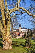 Hexentum vom Schlosspark Bad Homburg vor der Höhe aus gesehen, Taunus, Hessen, Deutschland