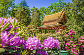 Siamesischer Tempel Thai-Sala im Kurpark von Bad Homburg vor der Höhe, Taunus, Hessen, Deutschland