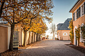 Autumn mood at Johannisberg Castle, Rheingau, Hesse, Germany