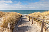 Path to the beach through the dunes in Dierhagen, Mecklenburg-West Pomerania, North Germany, Germany