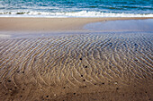 waves on the beach of darss, mecklenburg-vorpommern, northern germany, germany