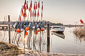 Winter mood in the port of Darsser Ort near Prerow, Mecklenburg-West Pomerania, Northern Germany, Germany