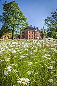 Flower meadow in the park of Bothmer Castle in Klütz, Mecklenburg-West Pomerania, North Germany, Germany