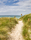 Path to the beach at Darsser Ort, Mecklenburg-West Pomerania, Germany, Mecklenburg-West Pomerania, North Germany, Germany