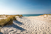 Beach access north of Ahrenshoop, Mecklenburg-West Pomerania, Northern Germany, Germany