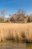 Thatched roof house on the Bodden near Prerow, Mecklenburg-Western Pomerania, Northern Germany, Germany