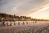 Abendstimmung mit Strandkörben am Strand von Zingst, Mecklenburg-Vorpommern, Ostsee, Norddeutschland, Deutschland