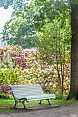 Rhododendron-Garten in Graal-Müritz, Mecklenburg-Vorpommern, Ostsee, Norddeutschland, Deutschland