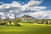 Green pastures on Eildon Hill near Melrose, Scottish Borders, Scotland, UK