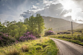 Landstraße mit Regenschauer im Glen Etive, Highlands, Schottland, Großbritannien