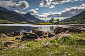 Loch Leven North Shore Viewpoint, Looking West, Kinlochleven, Highlands, Scotland, UK